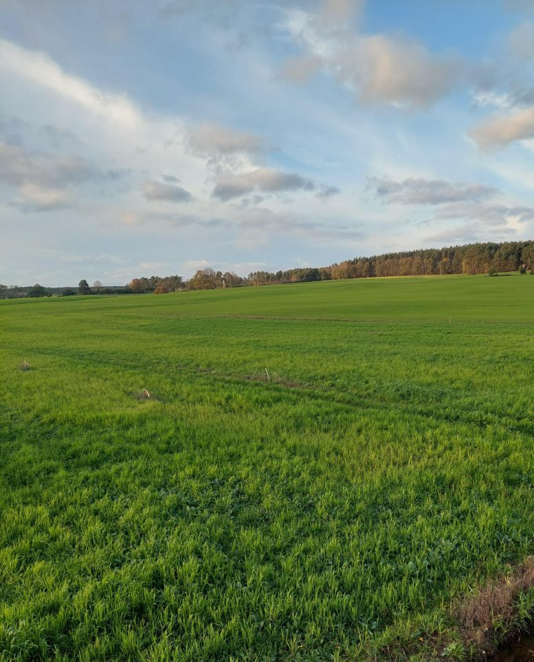 Działka budowlana Łagówek. Zdjęcie 3