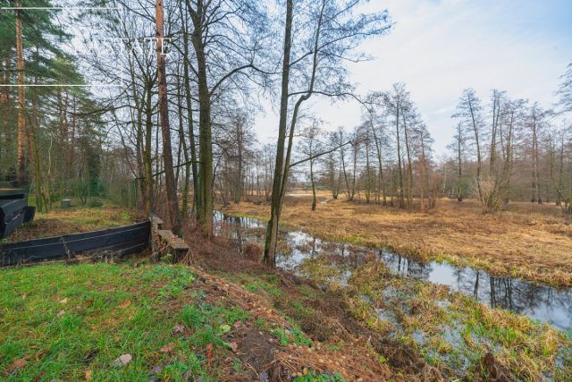 dom wolnostojący, 4 pokoje Nowy Lubiel. Zdjęcie 13