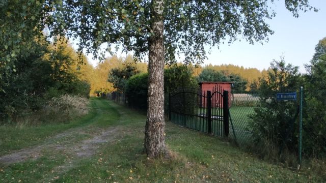 Działka rolno-budowlana Pelagia. Zdjęcie 1