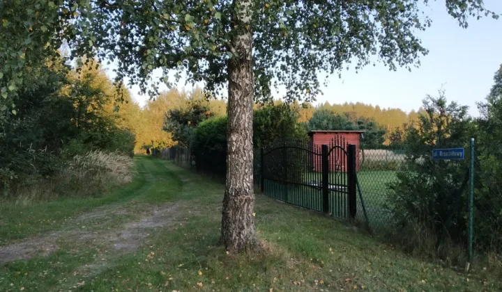 Działka rolno-budowlana Pelagia