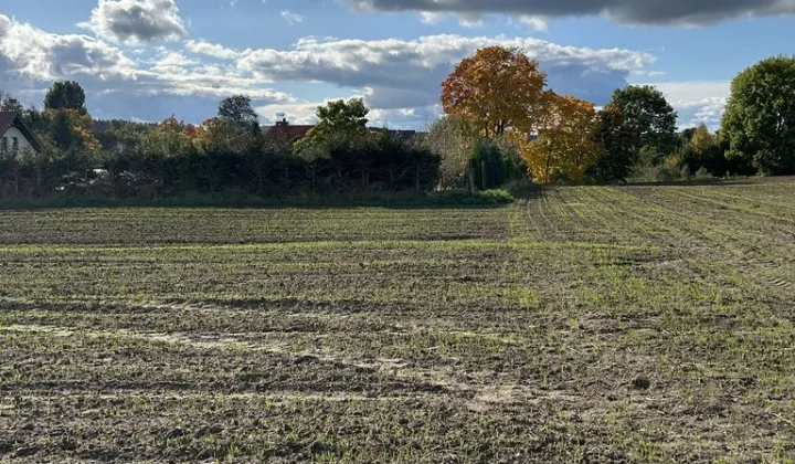 Działka budowlana Tyrowo