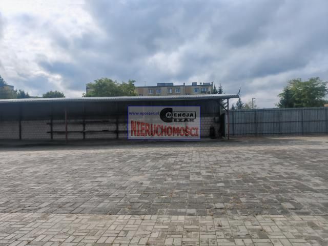 Lokal Mińsk Mazowiecki Nowe Miasto. Zdjęcie 7