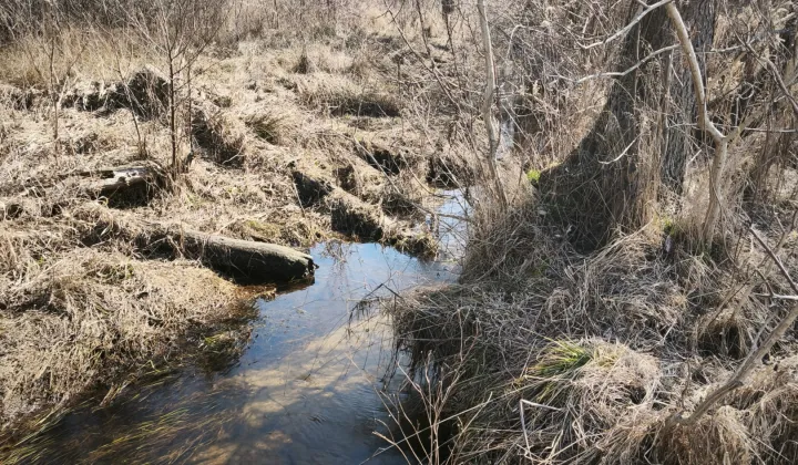 Działka budowlana Borucza Paluchy