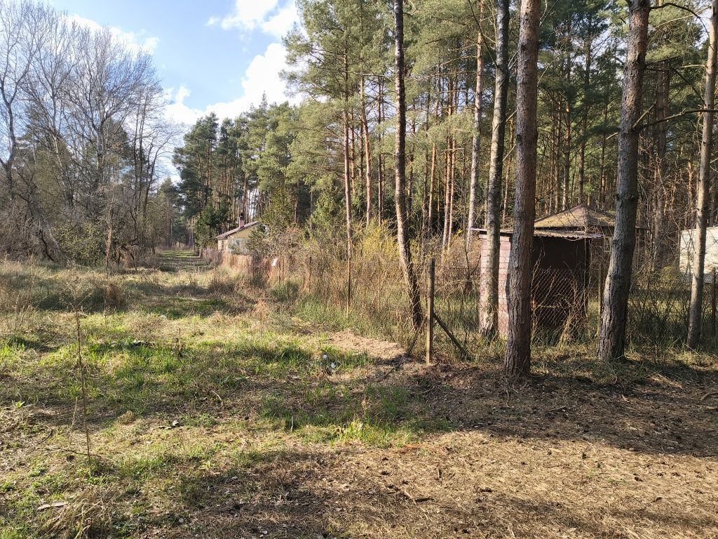 Działka rekreacyjna Pogorzelec. Zdjęcie 8