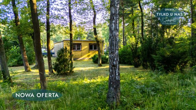 Działka budowlana Sokolniki-Las, ul. Klonowa. Zdjęcie 3