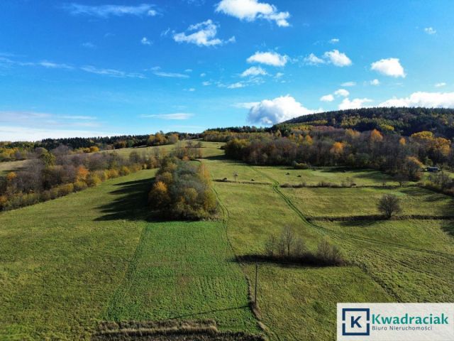 Działka rolna Rymanów-Zdrój Deszno. Zdjęcie 6