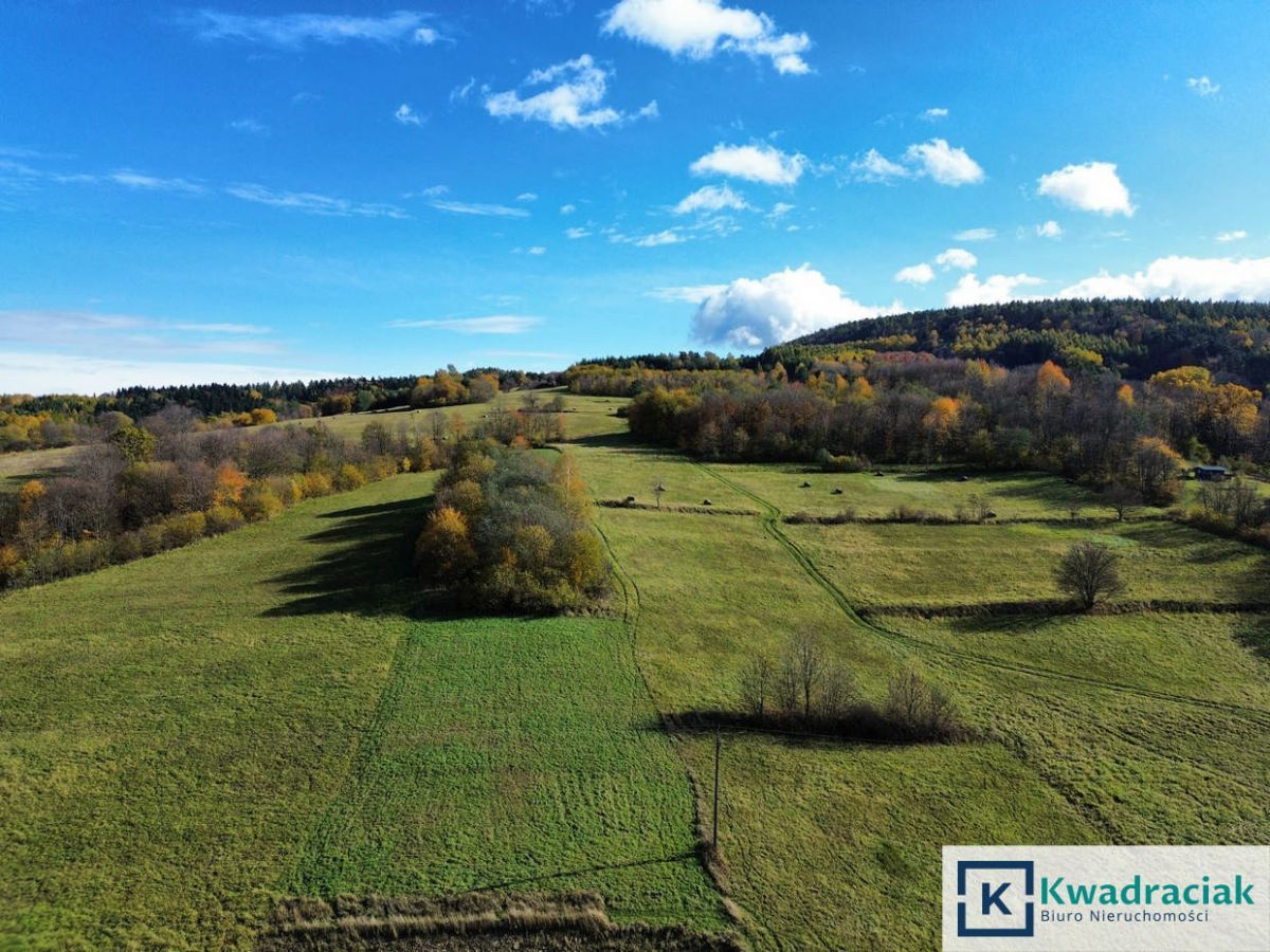 Działka rolna Rymanów-Zdrój Deszno. Zdjęcie 6