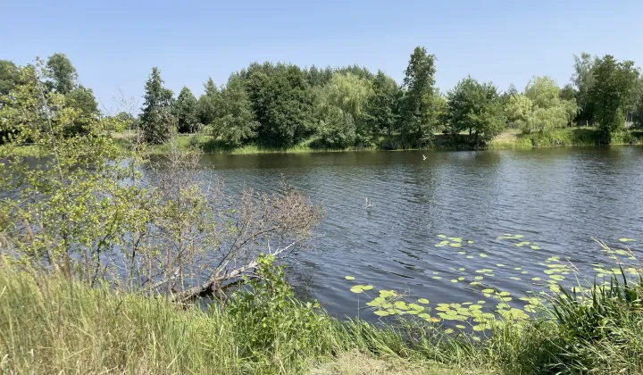 Działka inna Wszebory