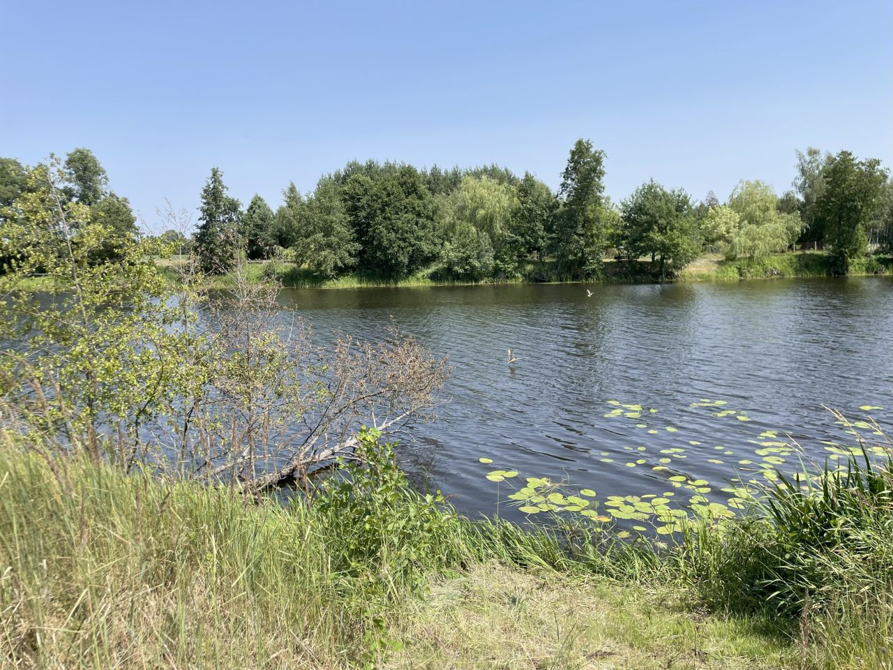 Działka inna Wszebory. Zdjęcie 10