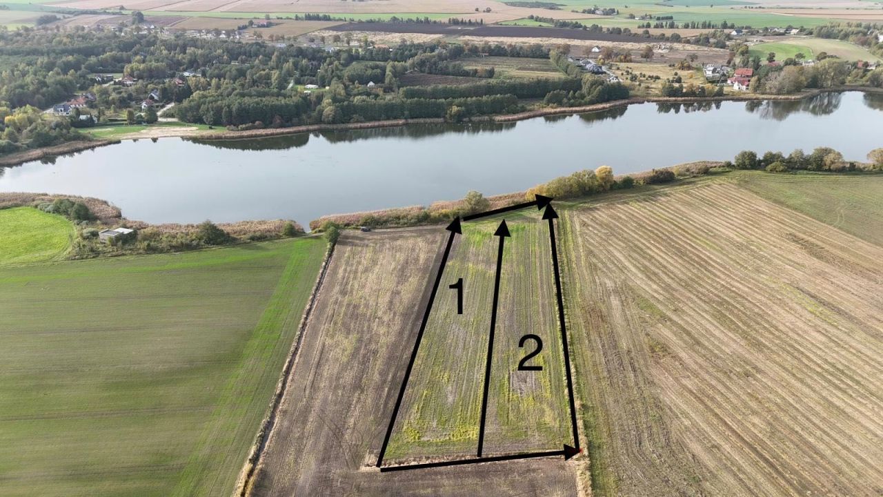 Działka rolna Rybno Wielkie. Zdjęcie 2