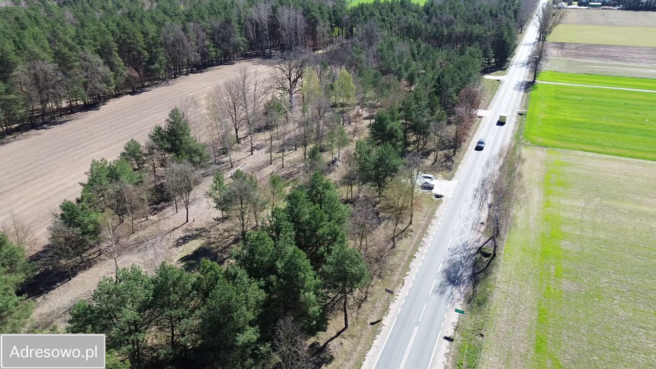 Działka budowlana Marynino. Zdjęcie 12