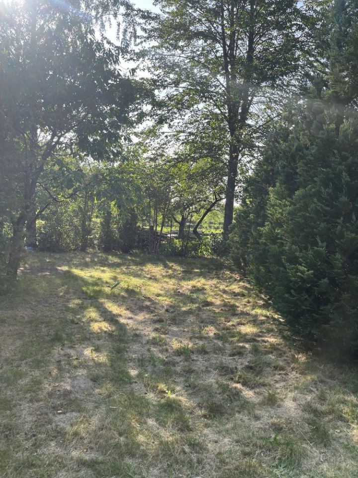 Działka rod Owczarnia. Zdjęcie 3