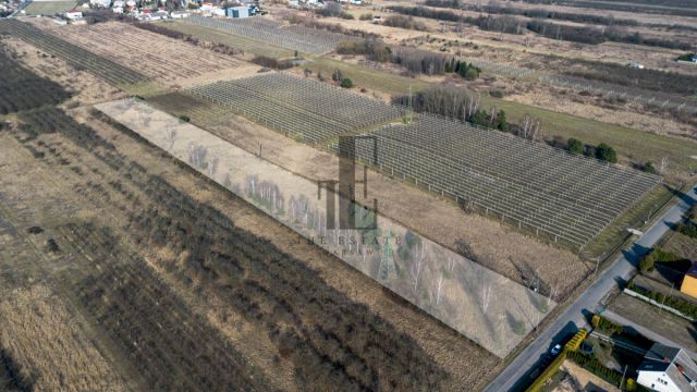 Działka rolna Warka, ul. Wichradzka. Zdjęcie 3