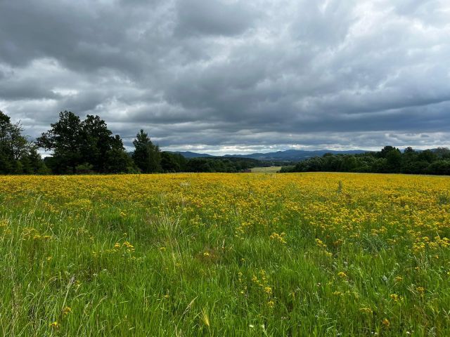 Działka budowlana Starków. Zdjęcie 1