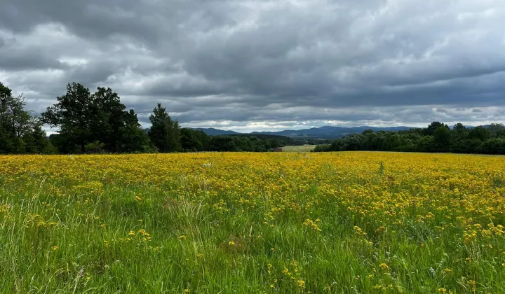 Działka budowlana Starków