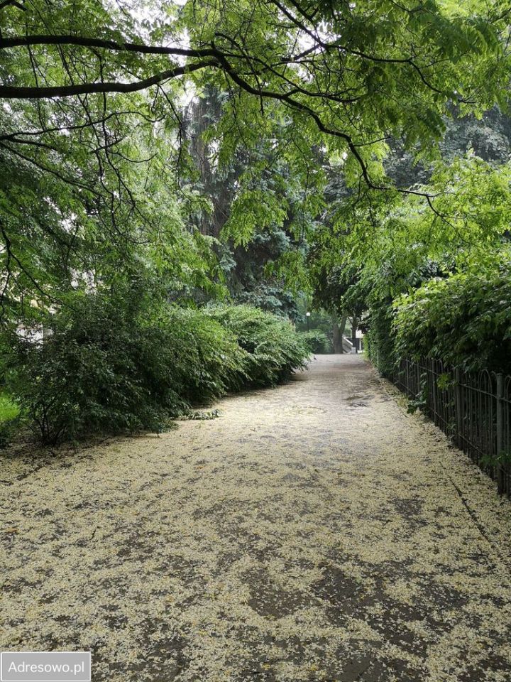 Mieszkanie 1-pokojowe Warszawa Mokotów, ul. Dworkowa. Zdjęcie 14