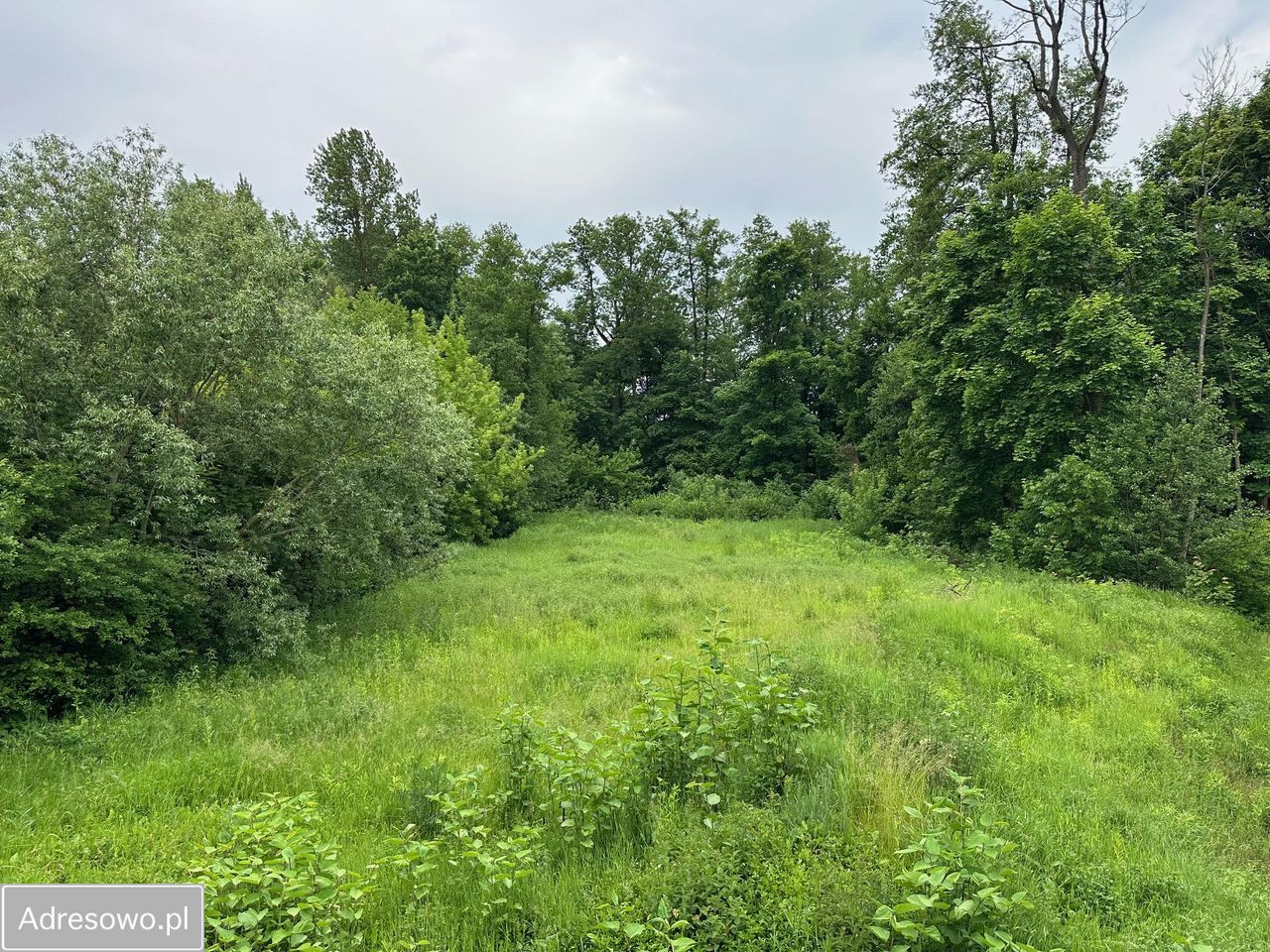 dom wolnostojący, 6 pokoi Kacice. Zdjęcie 5