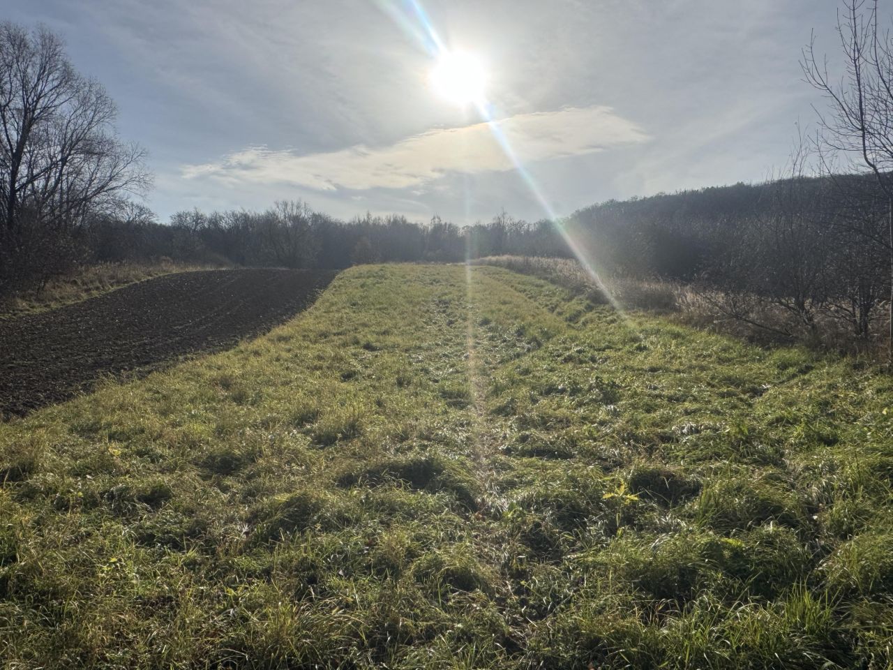 Działka rekreacyjna Przemyśl Kruhel Wielki, ul. Łowiecka. Zdjęcie 2