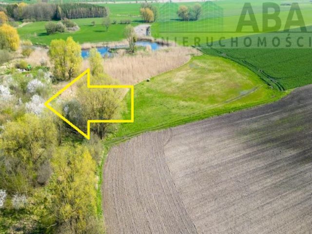 Działka rolna Turostówko. Zdjęcie 1