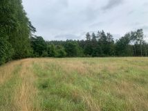 Działka rolna Różyn. Zdjęcie 2