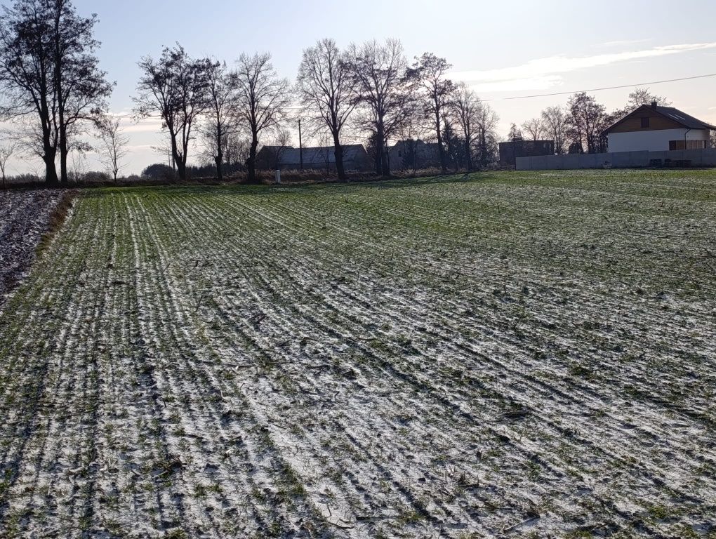 Działka budowlana Strzyżewo Smykowe. Zdjęcie 3