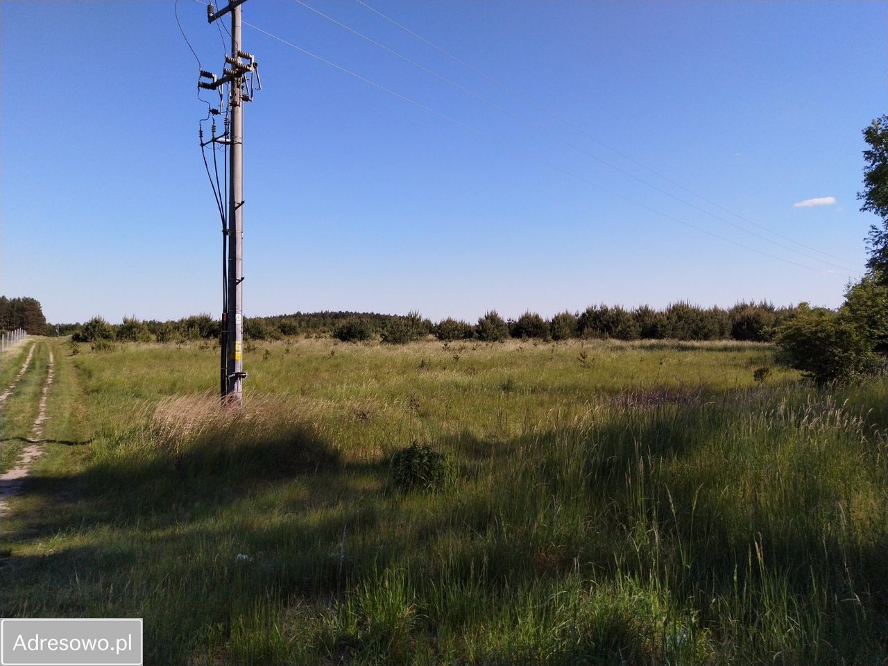 Działka rolno-budowlana Chłopowo. Zdjęcie 6