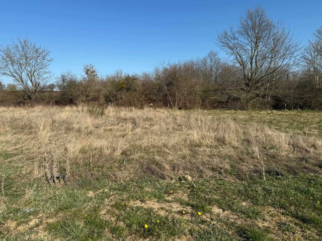 Działka budowlana Żelistrzewo. Zdjęcie 1