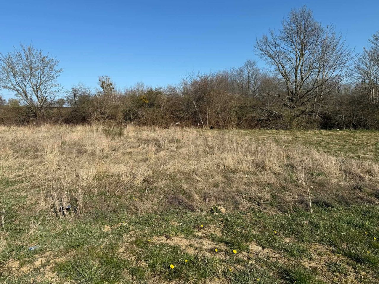 Działka budowlana Żelistrzewo. Zdjęcie 1