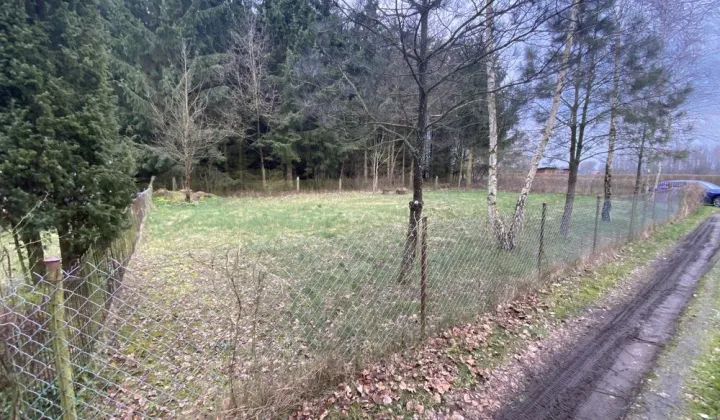 Działka rod Łochów, ul. Żytnia