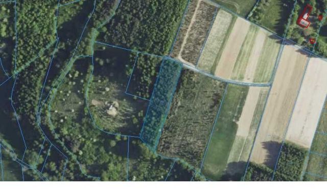 Działka leśna Hyżne. Zdjęcie 1