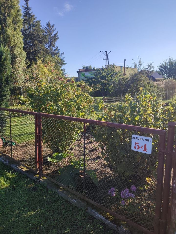 Działka rod Trzebiatów. Zdjęcie 2