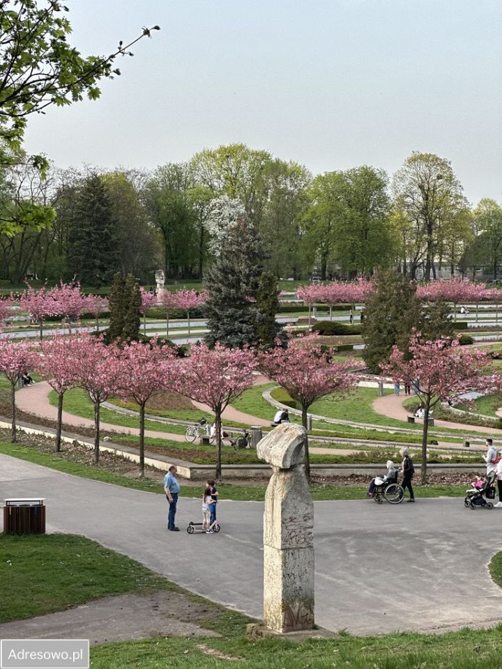 Mieszkanie 2-pokojowe Poznań Stare Miasto, ul. Za Cytadelą. Zdjęcie 6