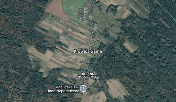 Działka leśna Krowica Sama