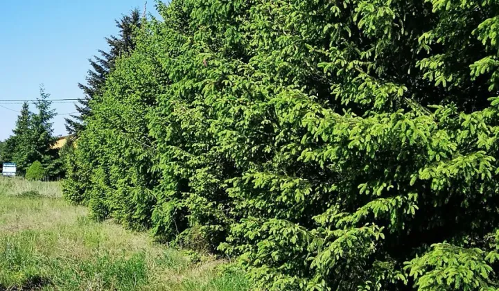 Działka budowlana Bartodzieje