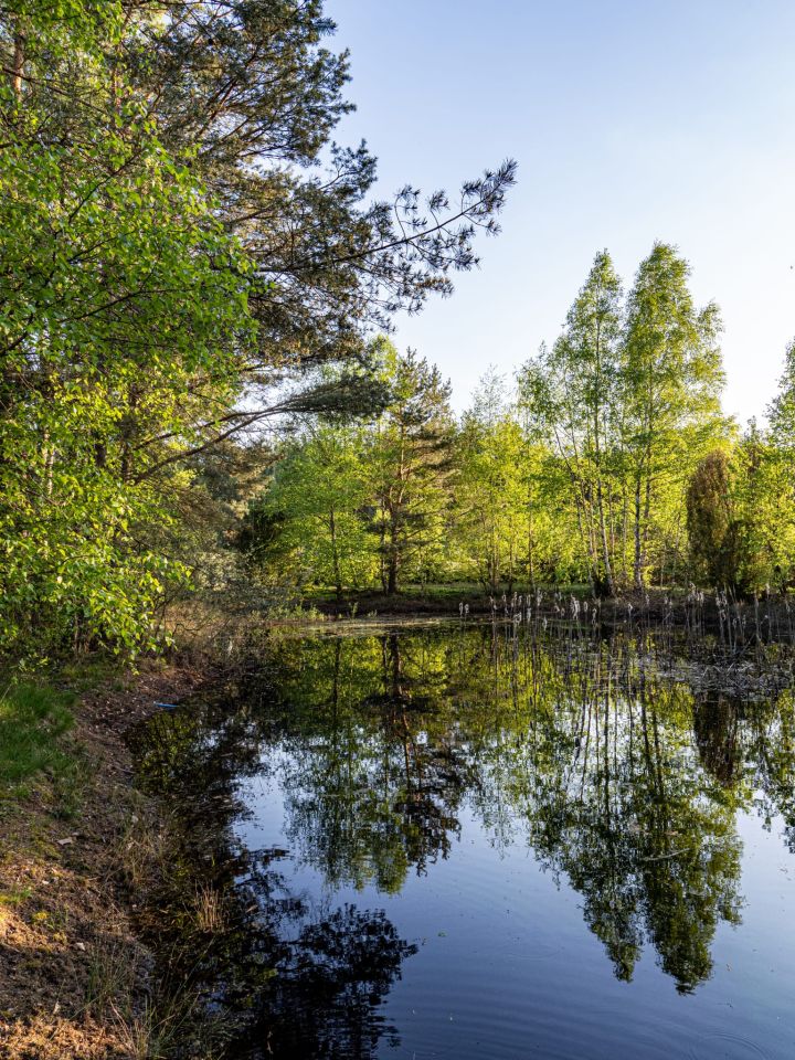 Działka rolna Kalisz, ul. Polna. Zdjęcie 8
