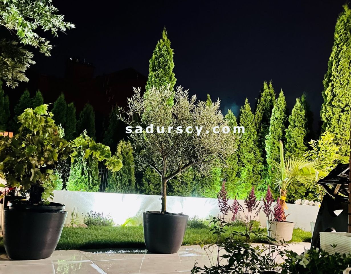 dom szeregowy, 6 pokoi Józefosław. Zdjęcie 34