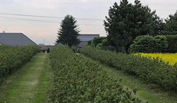 Działka rolno-budowlana Miłocin