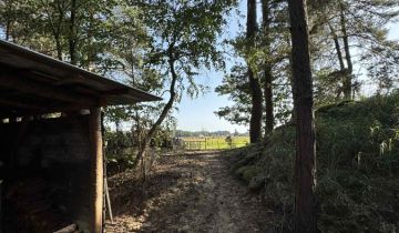 Działka rekreacyjna Golanka