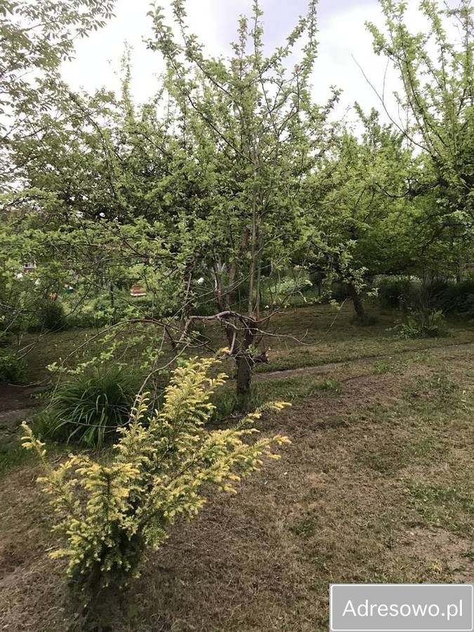 Działka rod Tczew Czyżykowo, ul. Bałdowska. Zdjęcie 10