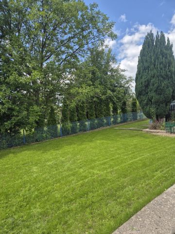 Działka rod Płock, ul. Kobiałka. Zdjęcie 1