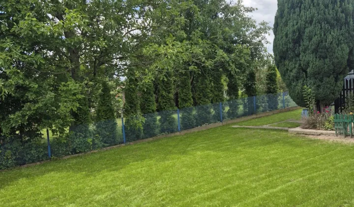 Działka rod Płock, ul. Kobiałka