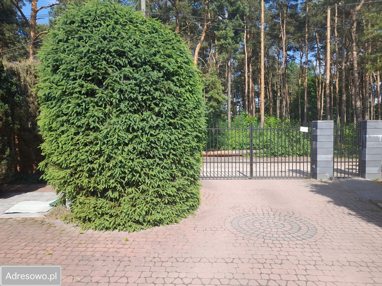 Mieszkanie 2-pokojowe Warszawa Wawer, ul. Cylichowska. Zdjęcie 8