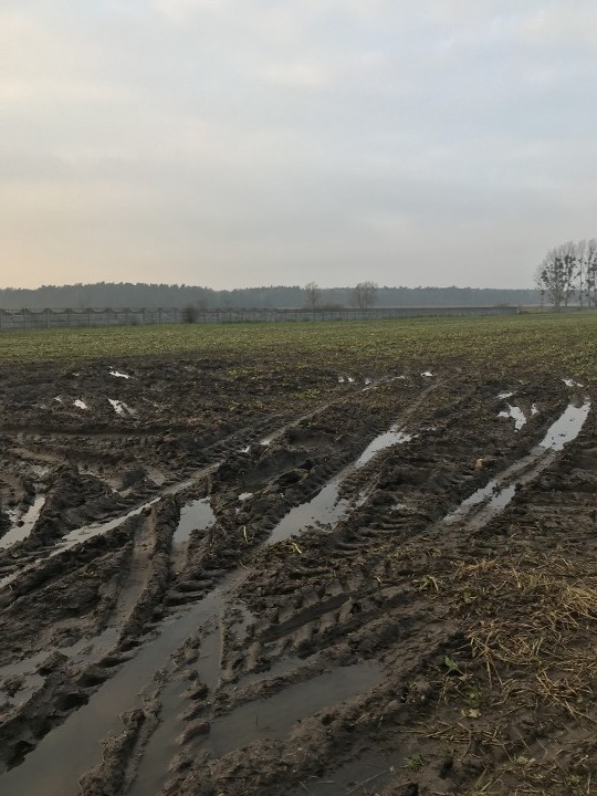 Działka rolno-budowlana Lulinek. Zdjęcie 4