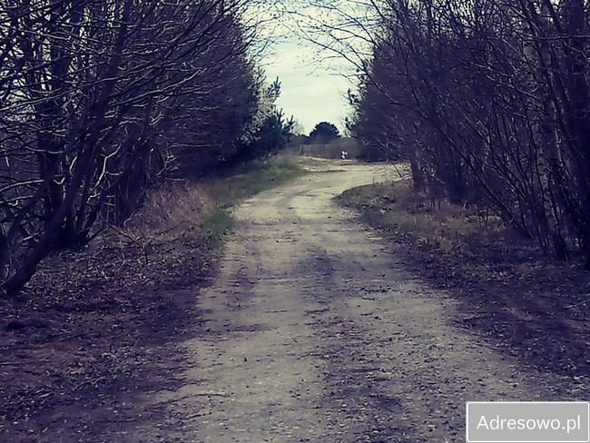 Działka budowlana Naterki, ul. Andromedy. Zdjęcie 9