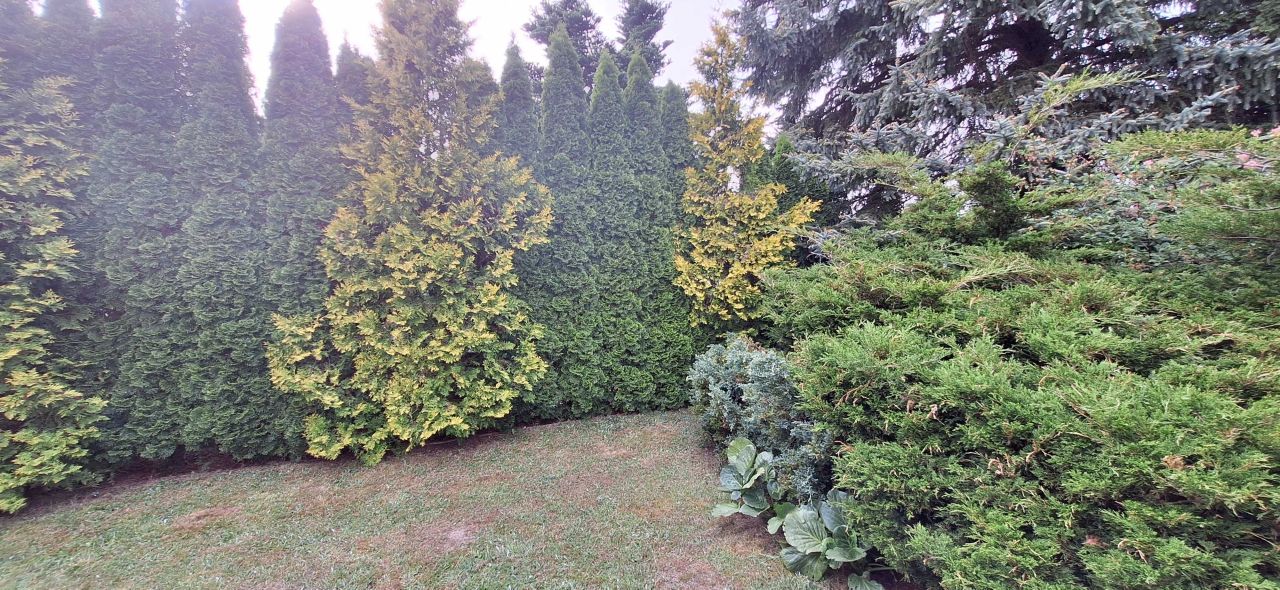 Działka rod Łódź Łagiewniki. Zdjęcie 7