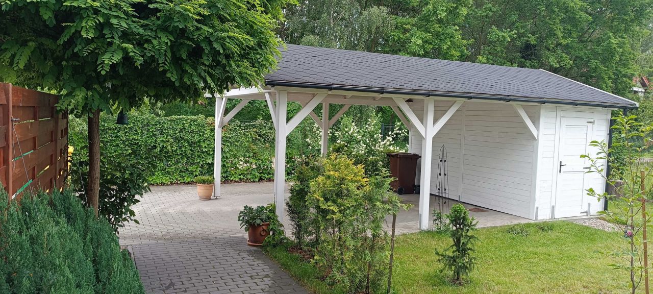 bliźniak Kady. Zdjęcie 2