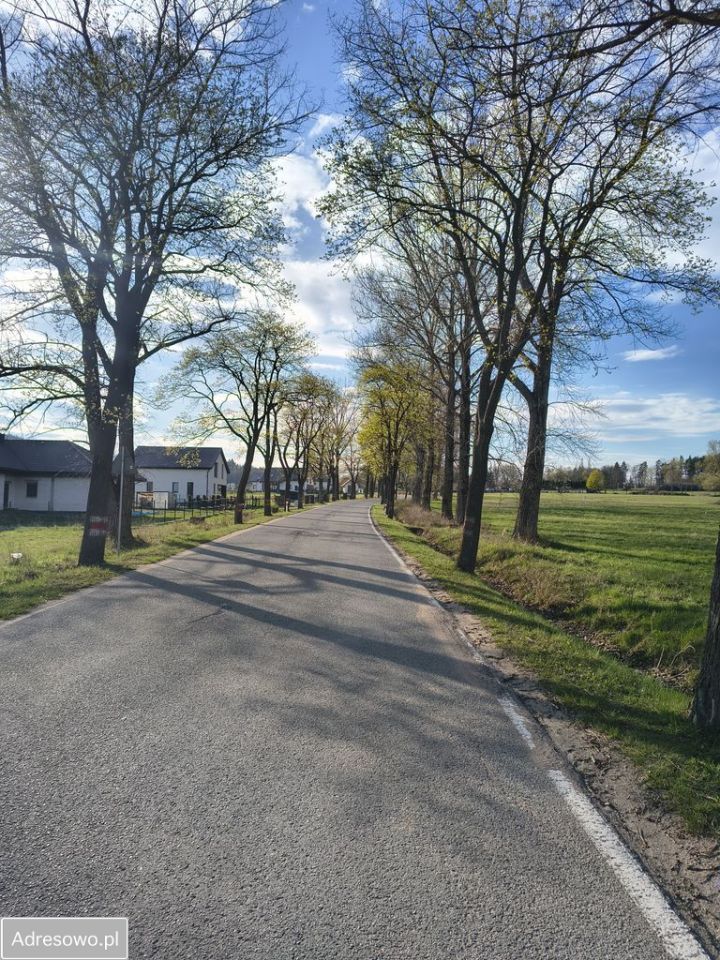 Działka budowlana Starkówek. Zdjęcie 3