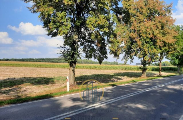 Działka rolna Rudno. Zdjęcie 8