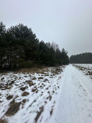 Działka rolno-budowlana Rogoźno, ul. Brzozowa. Zdjęcie 1