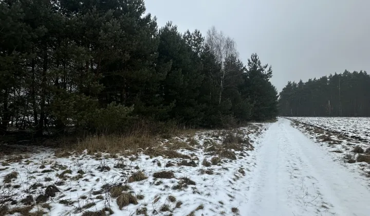 Działka rolno-budowlana Rogoźno, ul. Brzozowa